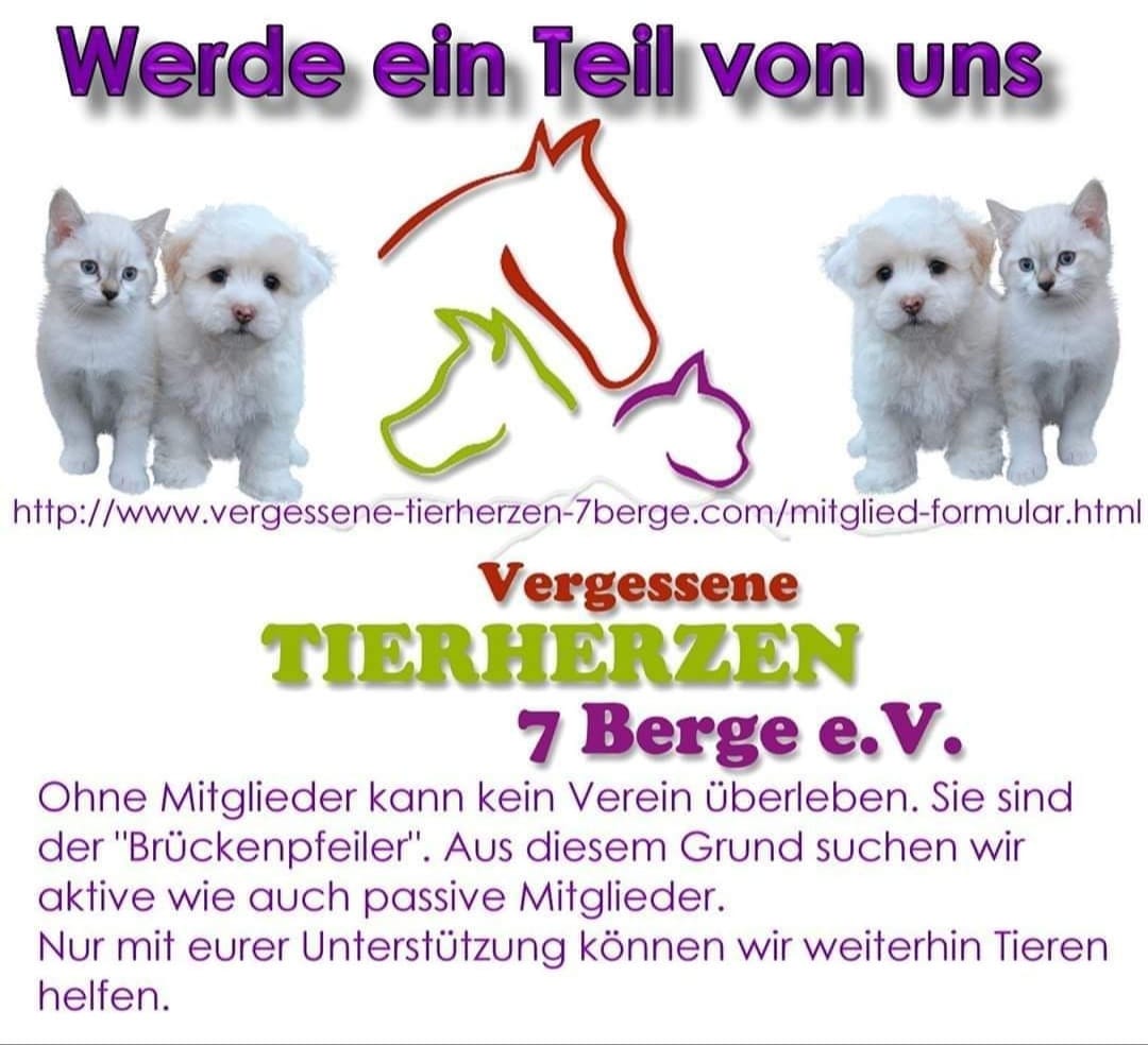 Mitglied werden