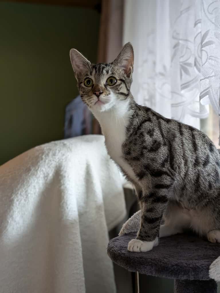 2025-09-27 Minou_01