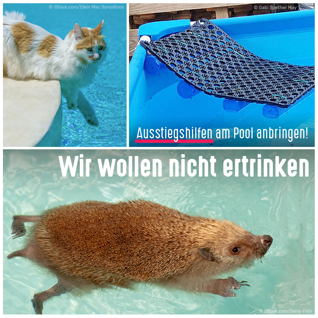 Poolsicherung